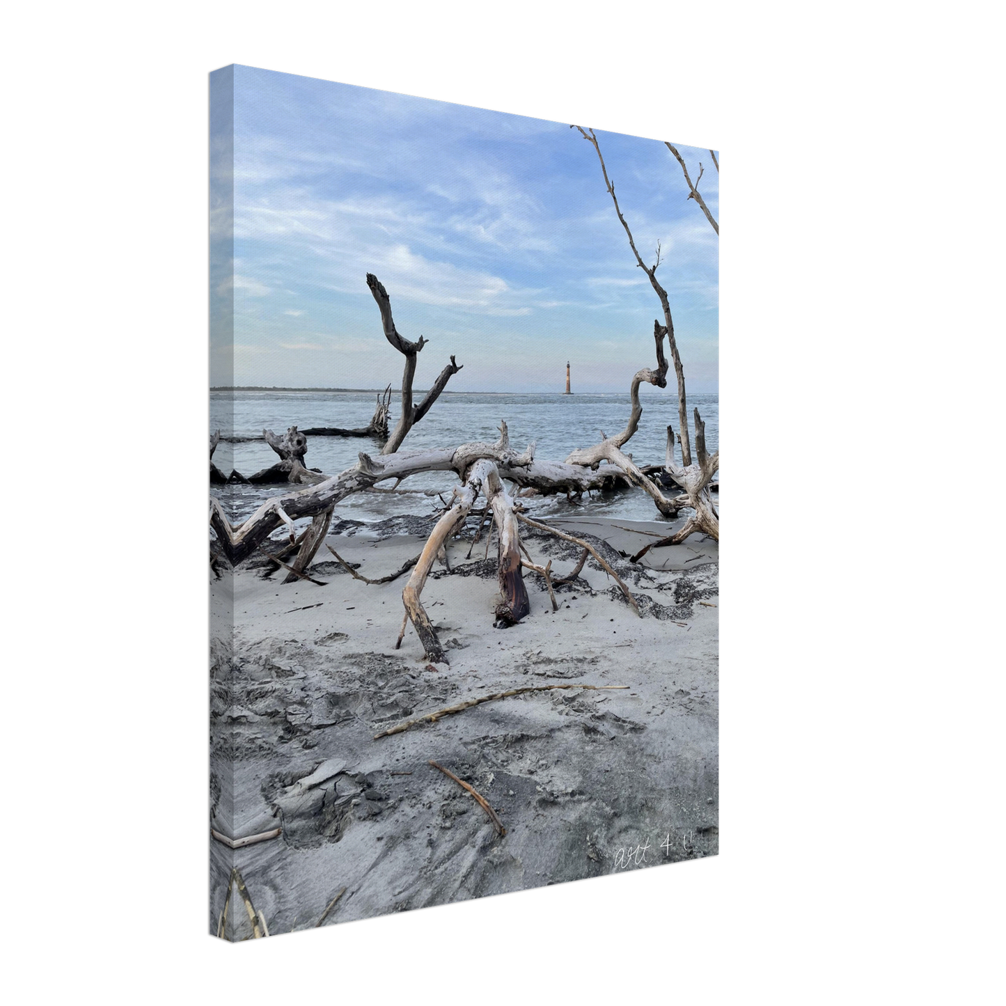 Drifting Away At Folly Beach, SC Canvas